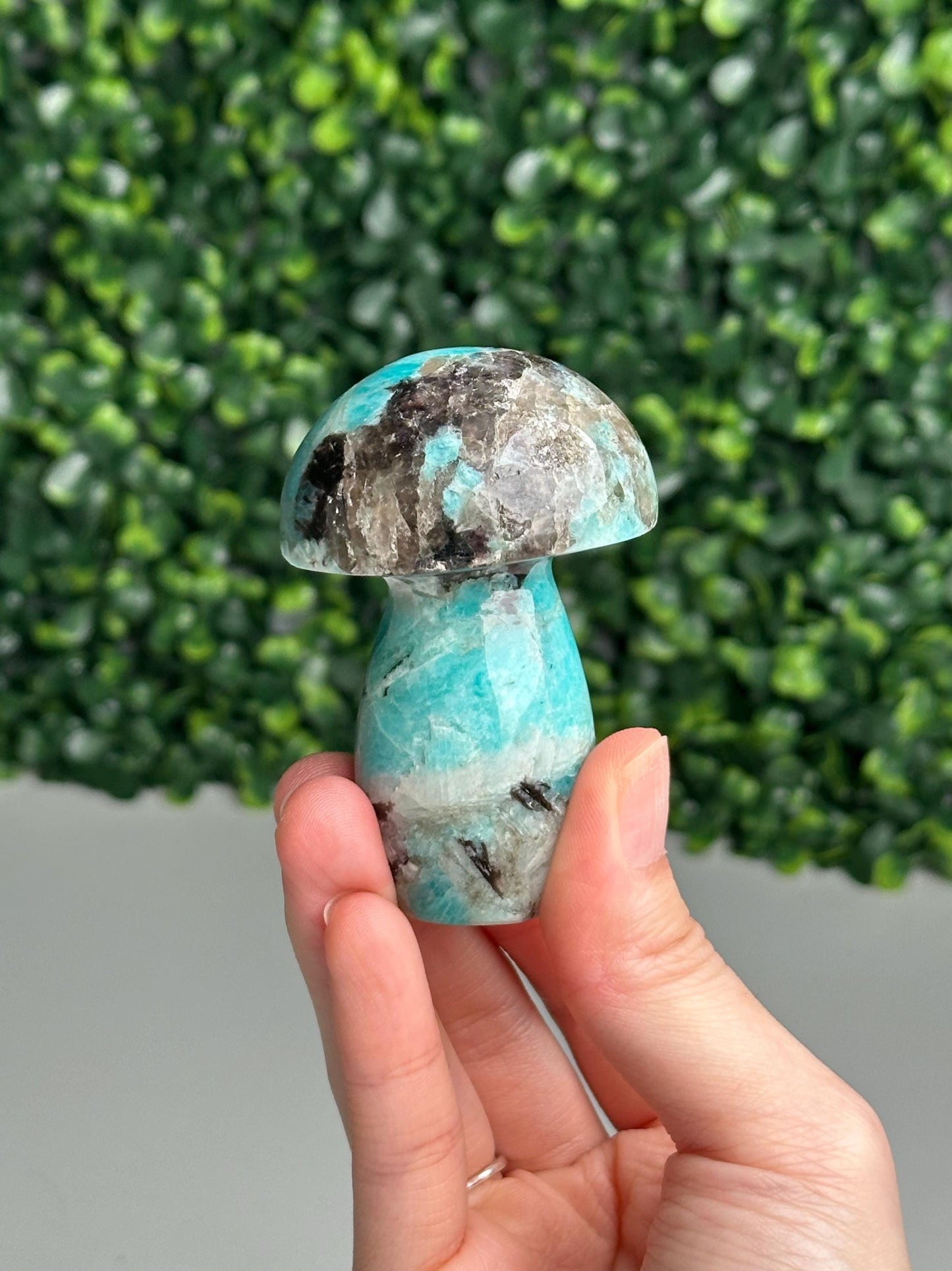 Smoky Quartz Amazonite Mushroom Carving | Natural Crystal | Green Blue Amazonite Smokey Quartz Stone Figurine | Mineral Collector Gift