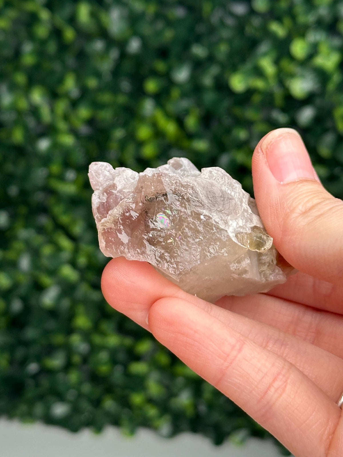 Crystallized Rose Quartz on Quartz with Mica & Green Tourmaline | Natural Multi Mineral Specimen | Canga Rosa Cluster Collector Display