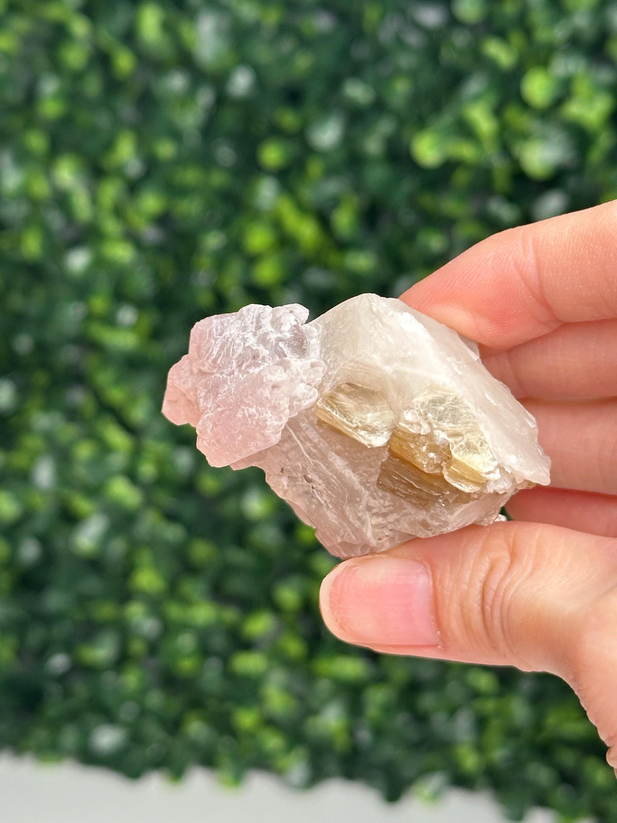 Crystallized Rose Quartz on Quartz with Mica & Green Tourmaline | Natural Multi Mineral Specimen | Canga Rosa Cluster Collector Display