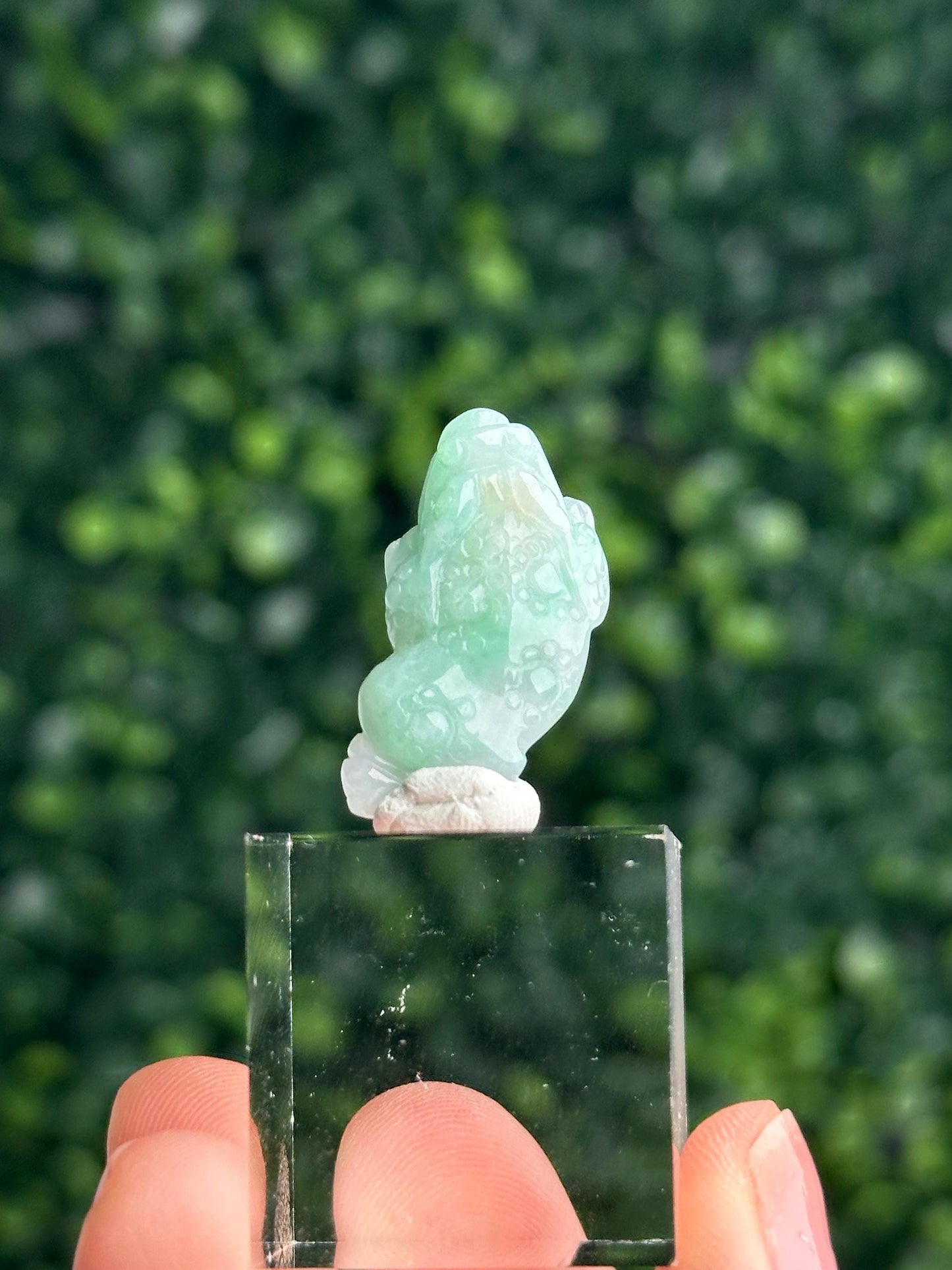 Mini Apple Green Jade Money Frog Charm | Predrilled Frog Carving | Three Legged Toad Pendant | Feng Shui Wealth Prosperity Good Luck Jewelry