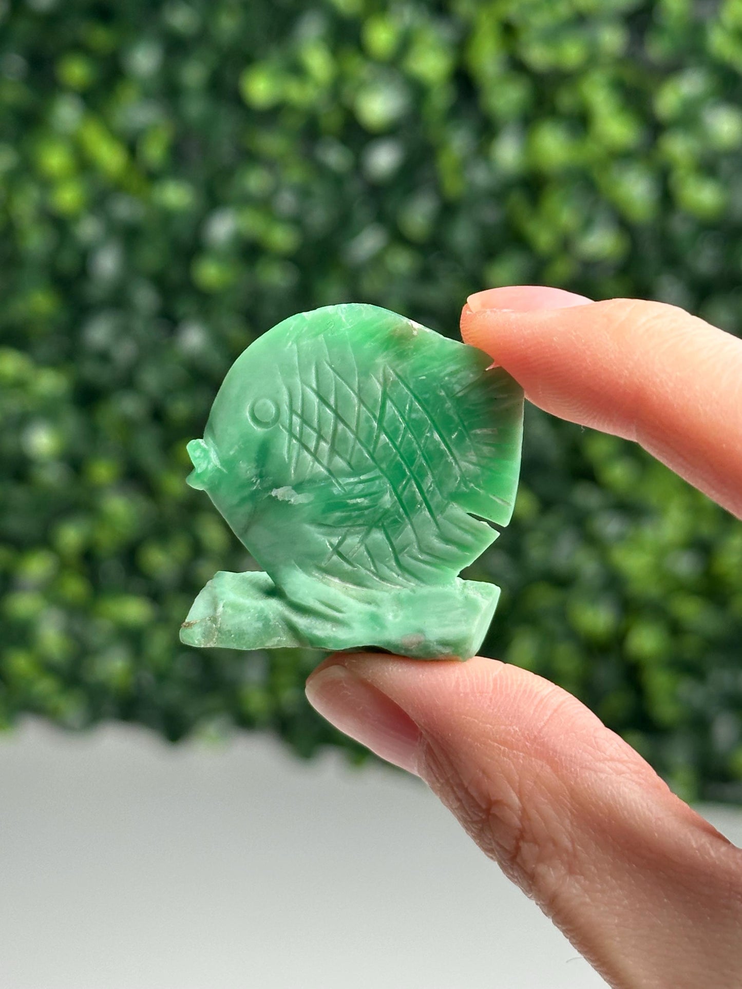 Utah Variscite Fish Carving | Natural Green Crystal Animal | Hand Carved Stone Fish Figurine | Mineral Specimen Collector Gift Decor