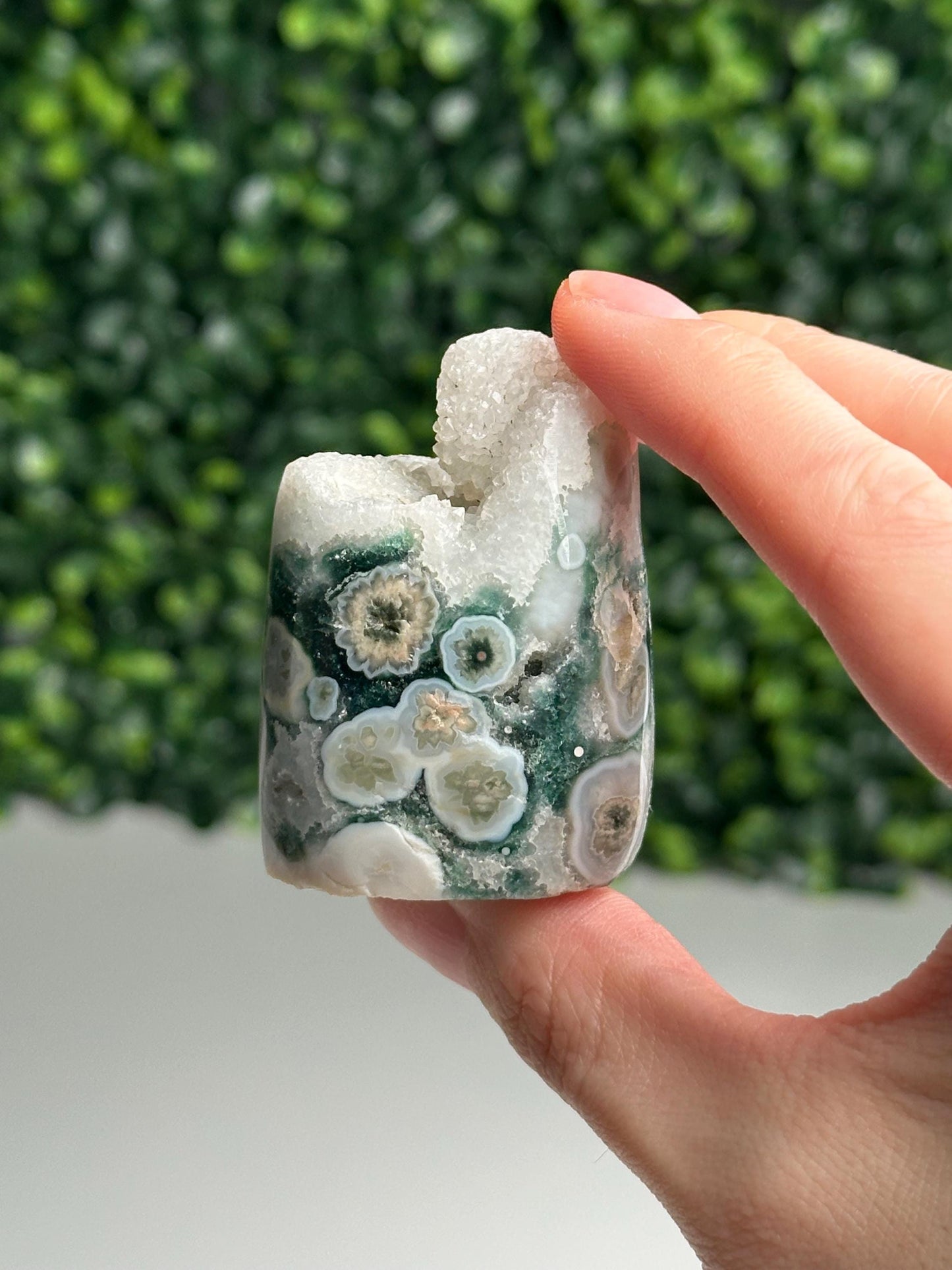 Mini Ocean Jasper Core | Natural Ocean Jasper Crystal | Polished Mini Mineral Core Specimen for Collectors & Display