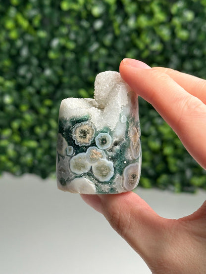 Mini Ocean Jasper Core | Natural Ocean Jasper Crystal | Polished Mini Mineral Core Specimen for Collectors & Display