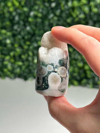 Mini Ocean Jasper Core | Natural Ocean Jasper Crystal | Polished Mini Mineral Core Specimen for Collectors & Display