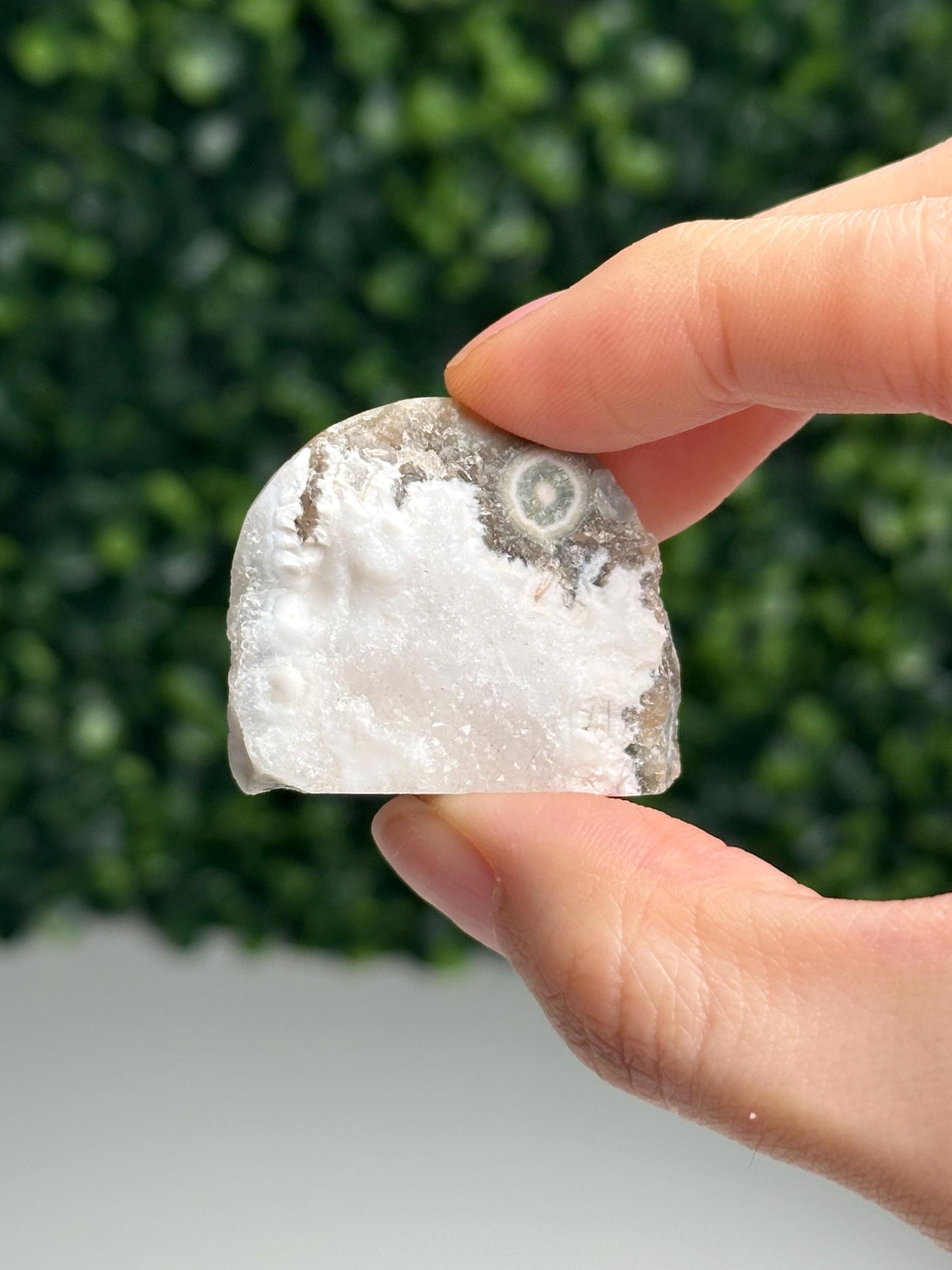 Mini Ocean Jasper Freeform | Natural Druzy Orbicular Jasper Crystal | Polished Madagascar Gemstone Display, Home Decor & Collector Gift