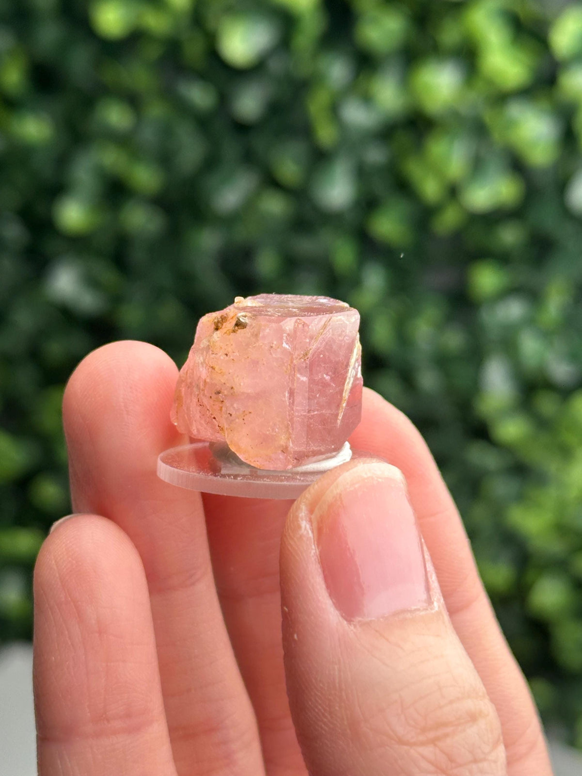 Gemmy Pink Apatite Specimen | Rosy Crystal Formation | Natural Mineral Display Piece | Collector Showcase Decorative Accent