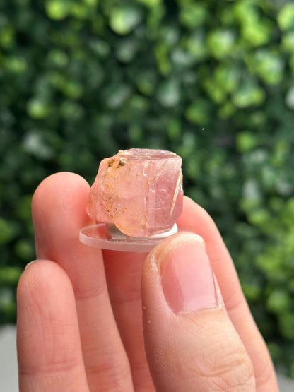 Gemmy Pink Apatite Specimen | Rosy Crystal Formation | Natural Mineral Display Piece | Collector Showcase Decorative Accent