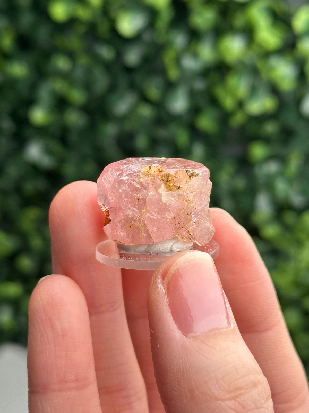 Gemmy Pink Apatite Specimen | Rosy Crystal Formation | Natural Mineral Display Piece | Collector Showcase Decorative Accent