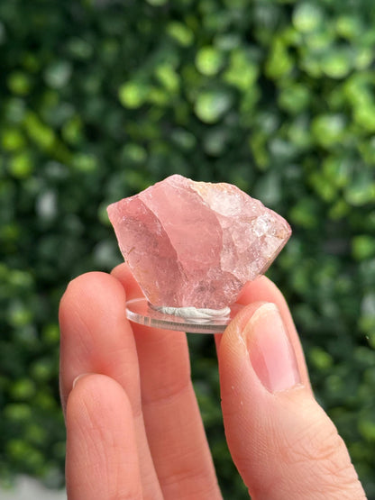 Gemmy Pink Apatite Specimen | Rosy Crystal Formation | Natural Mineral Display Piece | Collector Showcase Decorative Accent