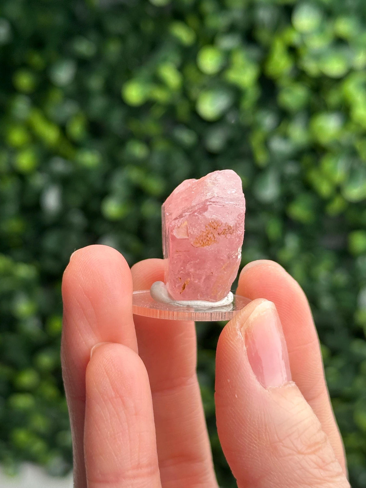 Gemmy Pink Apatite Specimen | Rosy Crystal Formation | Natural Mineral Display Piece | Collector Showcase Decorative Accent