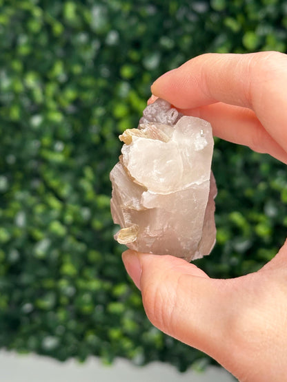 Crystallized Rose Quartz on Quartz with Mica & Green Tourmaline | Natural Multi Mineral Specimen | Canga Rosa Cluster Collector Display