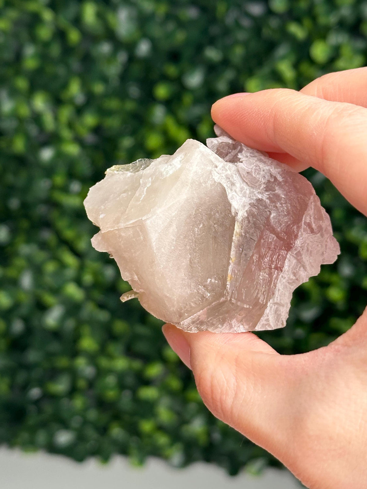 Crystallized Rose Quartz on Quartz with Mica & Green Tourmaline | Natural Multi Mineral Specimen | Canga Rosa Cluster Collector Display