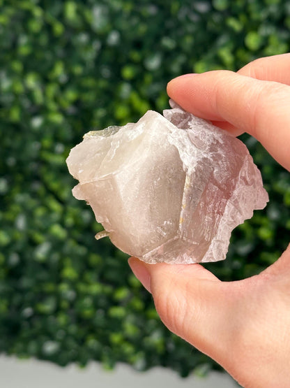 Crystallized Rose Quartz on Quartz with Mica & Green Tourmaline | Natural Multi Mineral Specimen | Canga Rosa Cluster Collector Display