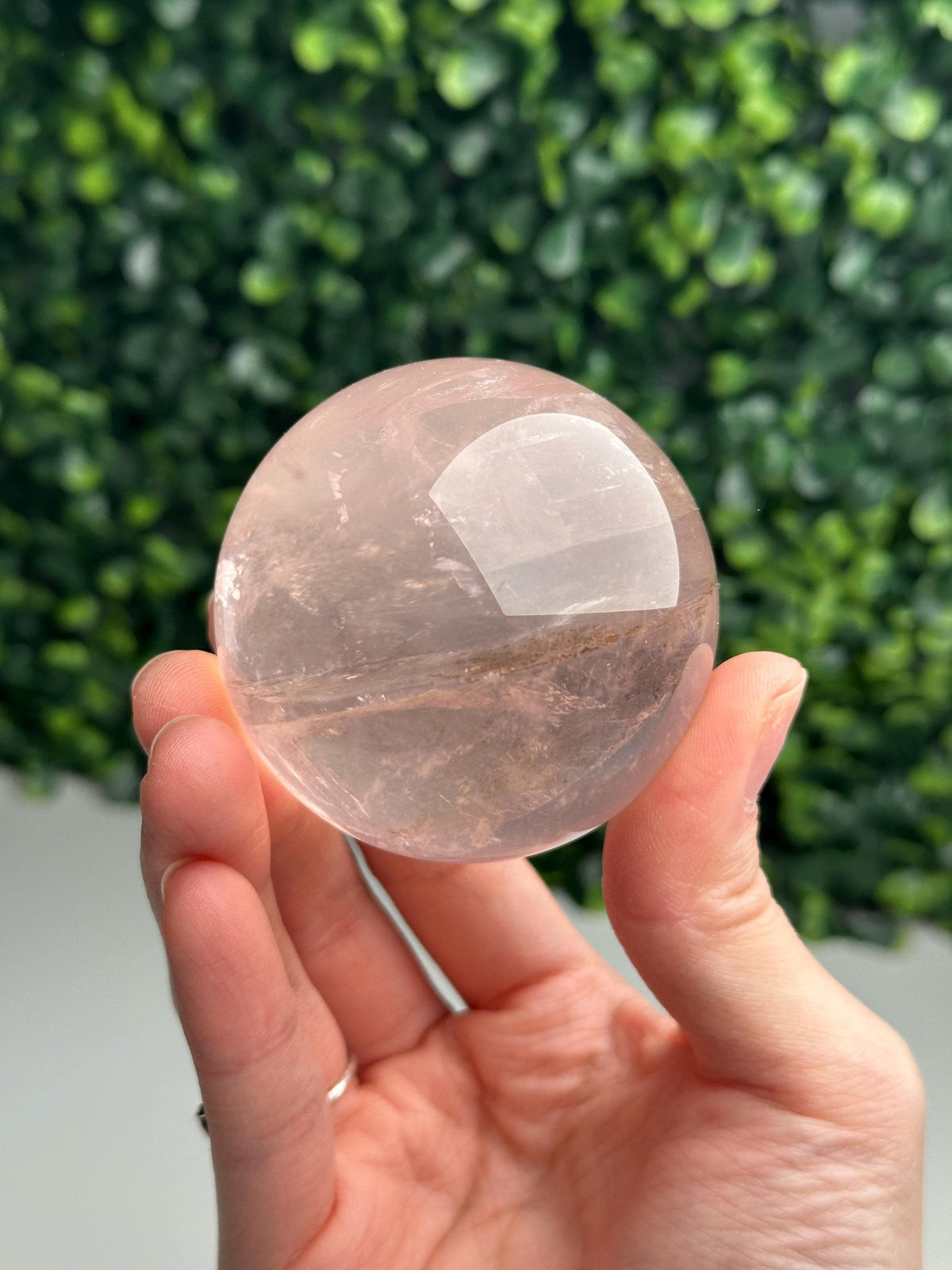 HQ Dendritic Star Rose Quartz Sphere | High Quality Pink Crystal Ball | Natural Dendrite Inclusion Mineral Specimen | Collector Display Gift