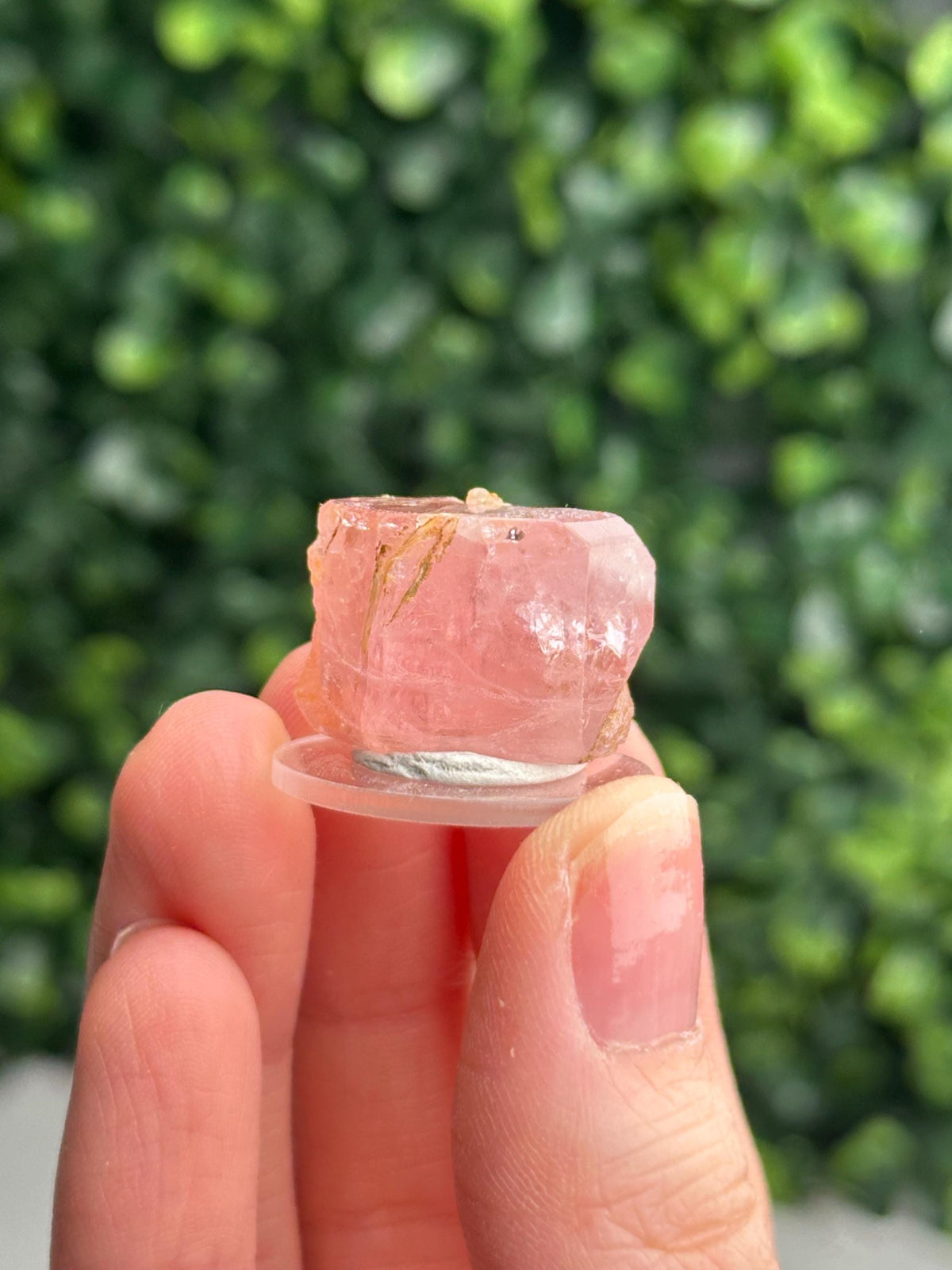Gemmy Pink Apatite Specimen | Rosy Crystal Formation | Natural Mineral Display Piece | Collector Showcase Decorative Accent