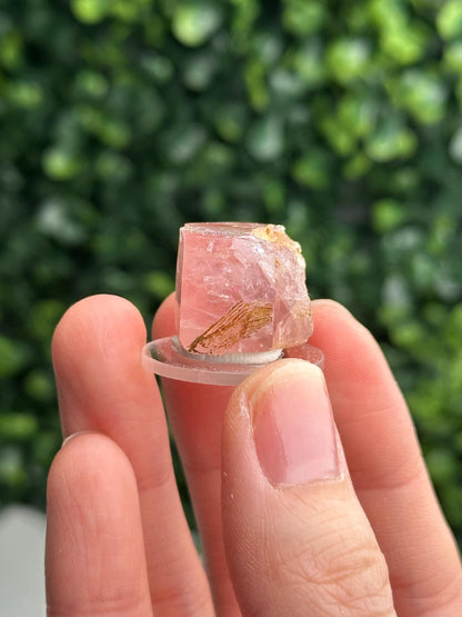 Gemmy Pink Apatite Specimen | Rosy Crystal Formation | Natural Mineral Display Piece | Collector Showcase Decorative Accent