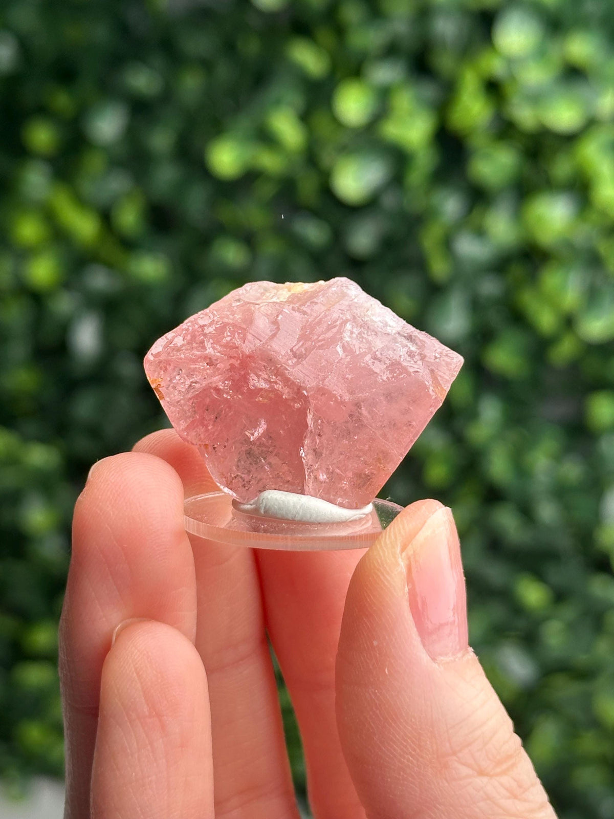 Gemmy Pink Apatite Specimen | Rosy Crystal Formation | Natural Mineral Display Piece | Collector Showcase Decorative Accent
