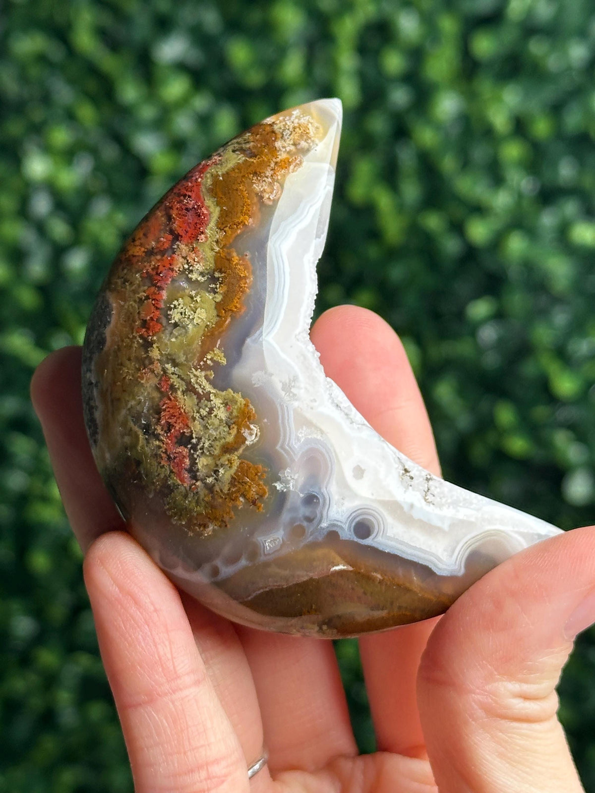 Scenic Moss Agate Moon with Dendritic Inclusions on Stand | Natural Landscape Crystal Crescent | Mineral Specimen Collector Display Decor