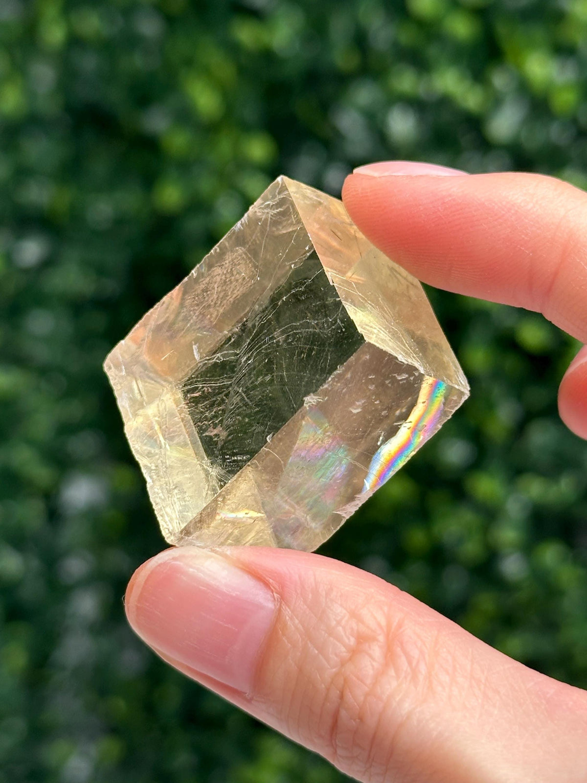 Mini Honey Calcite with Rutile Inclusions | Natural Yellow Calcite Crystal | Rutilated Mineral Specimen | Small Collector Display Stone Gift