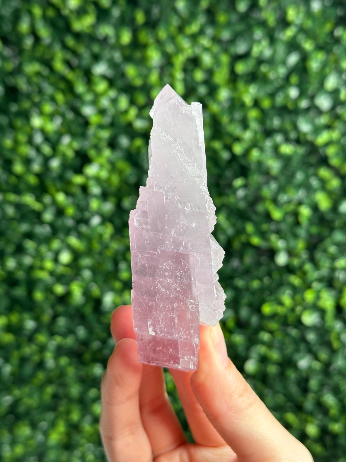 Lavender Balmat Calcite | Natural Purple Calcite Crystal | Balmat Mine New York Mineral Specimen | Collector Display Stone