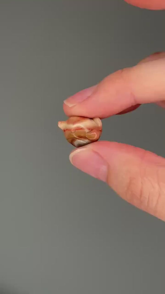 Mini Narwhal Carvings in Alashan Agate | Adorable Crystal Creatures with Swirled Tones | Ocean-Inspired Gift or Display Figurines