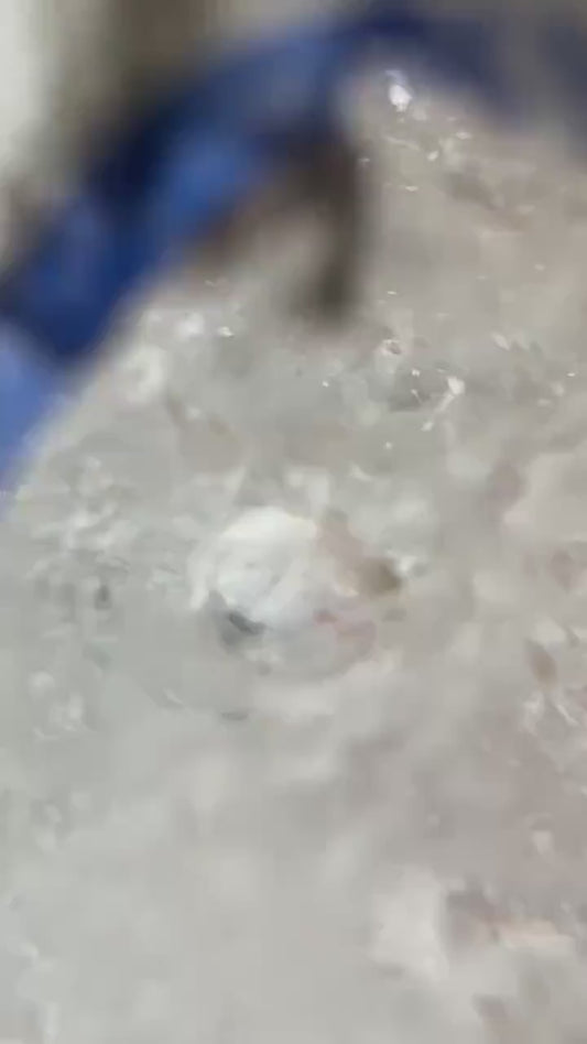 Clear Quartz Enhydro with Hematite Sphere | Natural Inclusion Quartz Crystal Ball | Rare Mineral Specimen for Collectors Display Decor