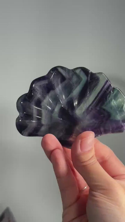 Fluorite Shell Bowl – Carved Natural Crystal Dish in Seashell Shape, Rainbow Fluorite for Display, Jewelry Holder, or Altar Offering Bowl