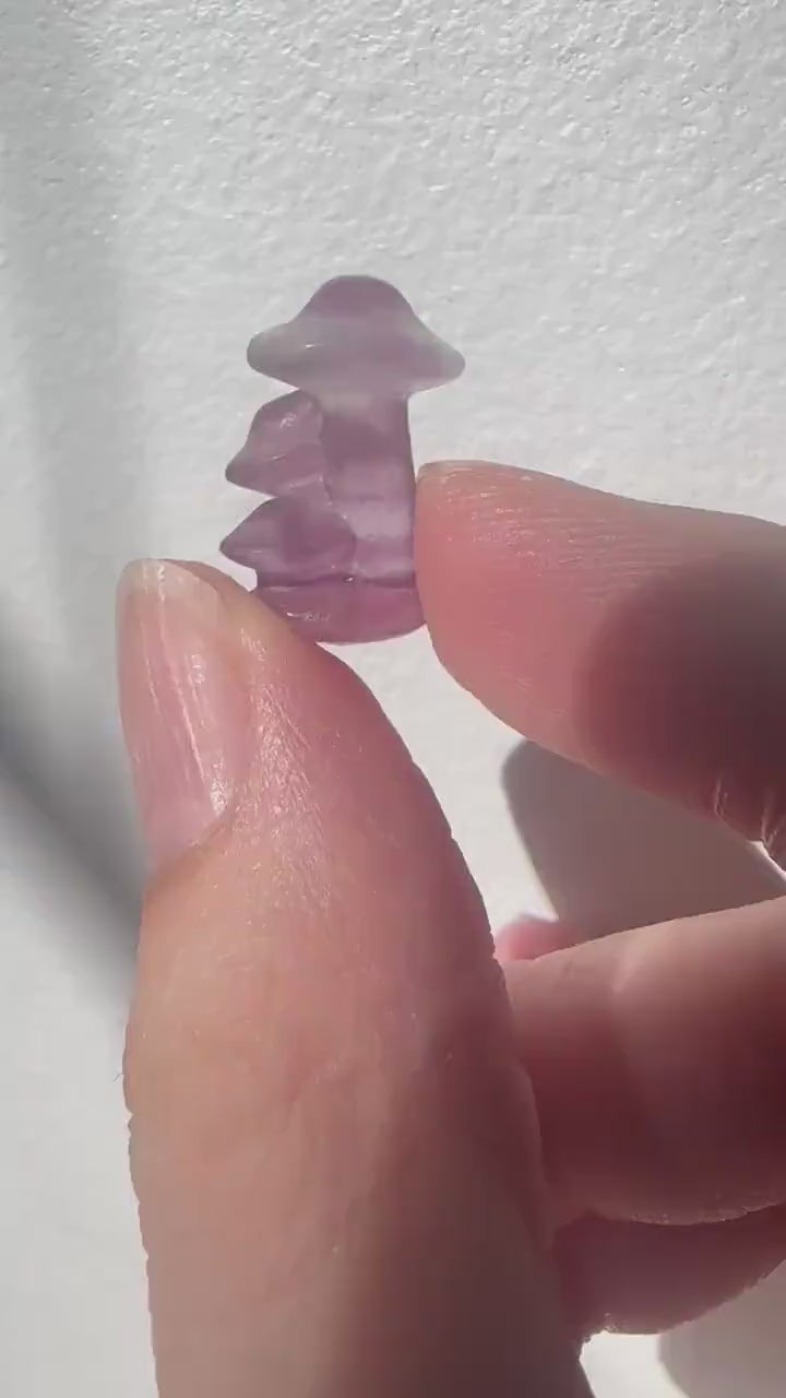 Mini Fluorite Mushrooms | Carved Fluorite Crystal Toadstools | Natural Gemstone Decor | Cute Crystal for Collection & Display