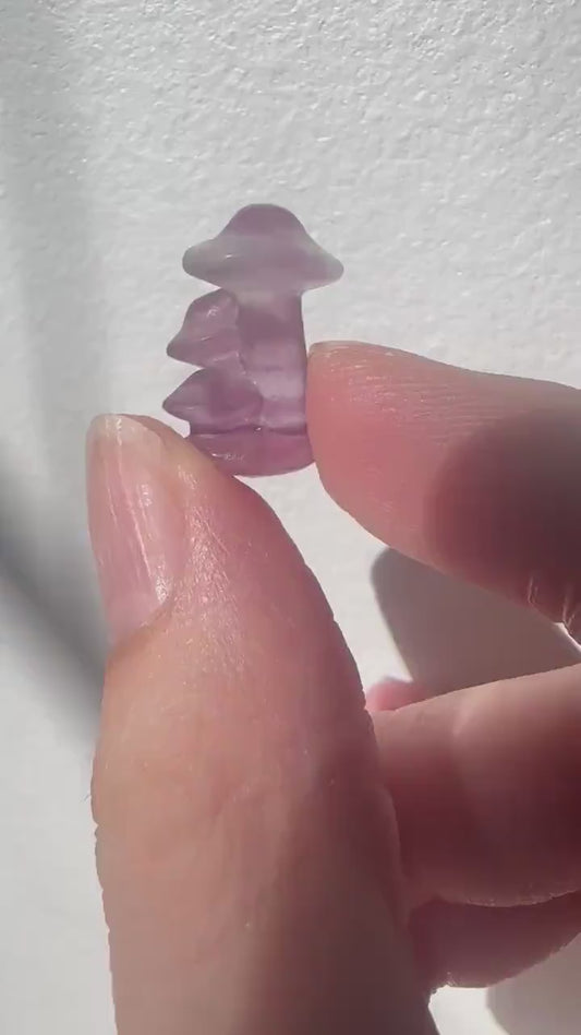 Mini Fluorite Mushrooms | Carved Fluorite Crystal Toadstools | Natural Gemstone Decor | Cute Crystal for Collection & Display